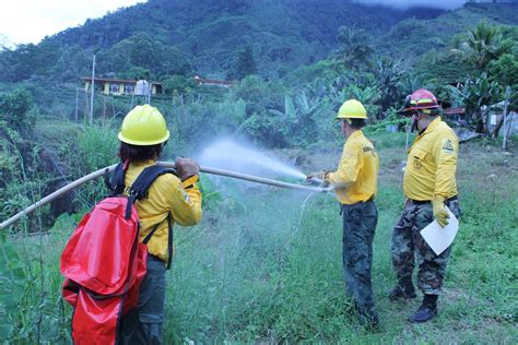 M S De Hect Reas Afectadas Por Incendios Forestales Seg N El