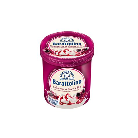 Barattolino Gelato Allamarena Gr Sammontana