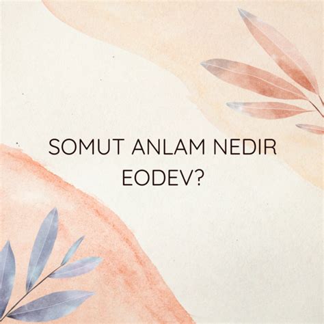 Somut Anlam Nedir Eodev Ne Demek Z T Anlam E Anlam