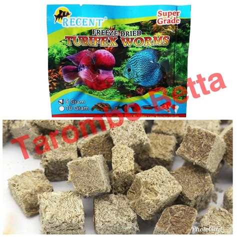 Jual Cacing Kering Tubifex Worm Worms Pakan Makanan Ikan Hias Sutra