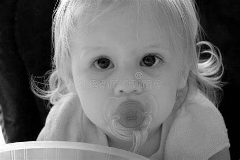 Baby Pacifier Black White Stock Photos Free Royalty Free Stock