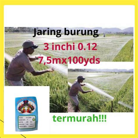 Jual Jaring Burung Kecil Jaring Burung Jaring Ikan Sawah 2 Inchi 100mds