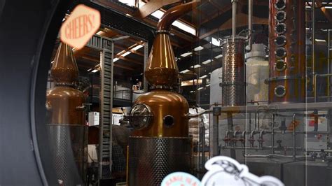 Huge Growth In Gin Distillers And Brewers Dairy News Australia