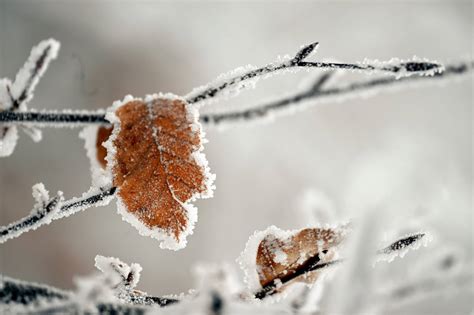 Wetter Februar Kälteeinbruch befürchtet droht extremer Frost