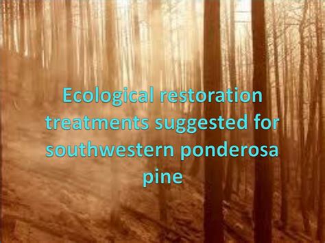 Ppt Reference Conditions And Ecological Restoration Powerpoint