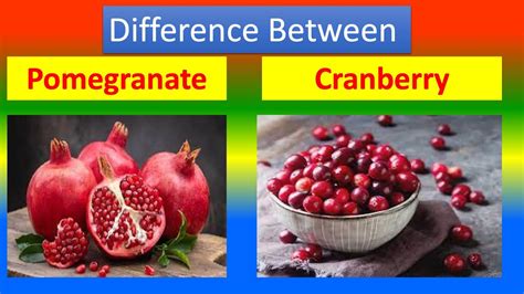 Differences Between Medical And Health Benefits Of Pomegranate And