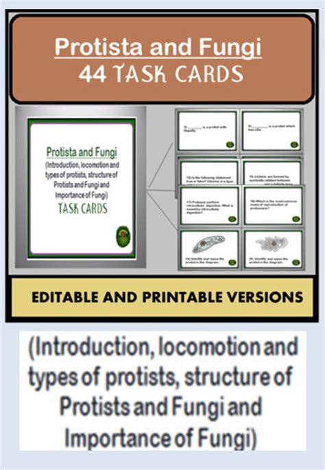 Protista And Fungi Task Cards Editable Printable Task Cards