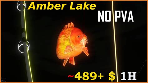 No Pva Color Carp Spot Amber Lake Russian Fishing Carpfishing