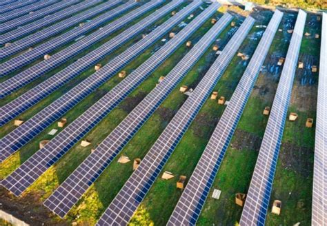 Transalta To Acquire 122 Mw Solar Portfolio From Copenhagen Infrastructure Partners