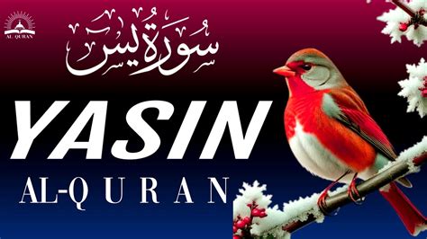 So Amazing Recitation Of Surah Yasin Yaseen Touching Voice