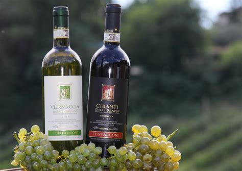 Toscana E Seus Vinhos Entre Os Melhores Do Mundo Food Magazine