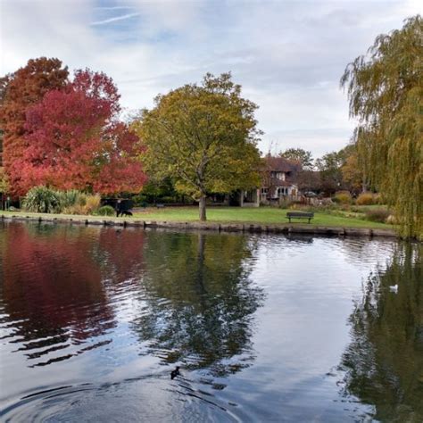 Beddington Park Beddingtonpark Twitter