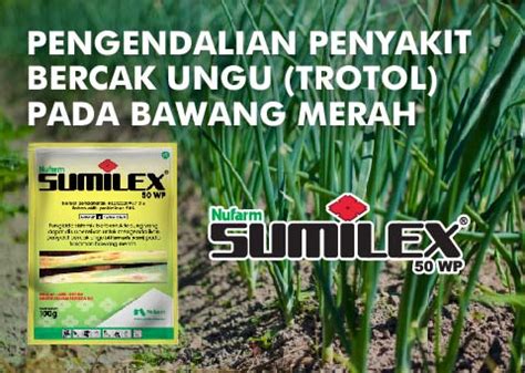 Pengendalian Penyakit Bercak Ungu Trotol Pada Bawang Merah Nufarm