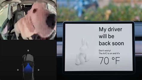 Your Dog Is Safe In A Tesla Vehicle With Dog Mode Torque News