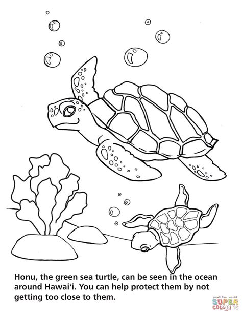 Green Sea Turtle - Hawaiʻi Volcanoes NP coloring page | Free Printable ...