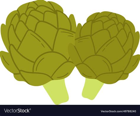 Brussels Sprout Vegetable Royalty Free Vector Image