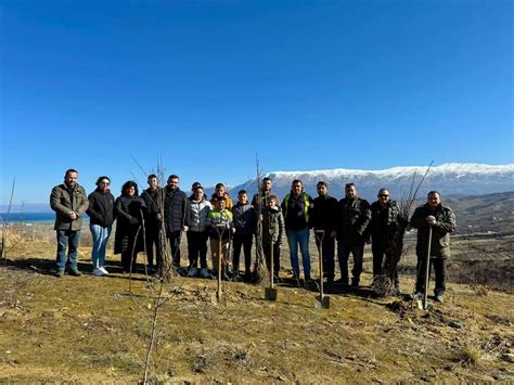 Mbillen 1500 fidanë në aksin e ri Qafë Plloçë - Qukës - Kolibri.al