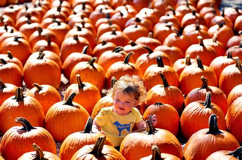 Here's what to expect from Thursday's weather forecast