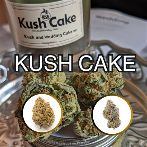 Kush Cake Pack - Anatomy Canna Shop