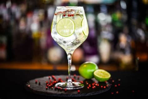 Cómo Preparar El Gin Tonic Perfecto Receta De Sergio