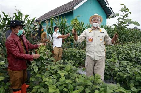 Pemprov Banten Beri Bantuan Benih Dan Sarana Produksi Kepada Petani