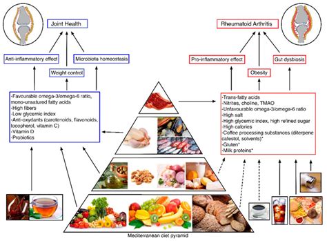 Nutrición Y Trastornos Del Sistema Inmune