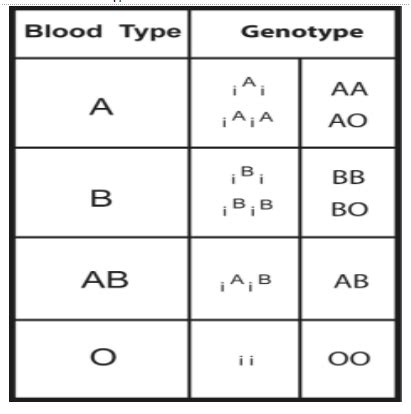 The Abo Blood Types Are Named For