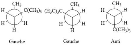 Newman Projection Of Methylpentane