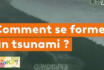 Comment Se Forme Un Tsunami Paperblog