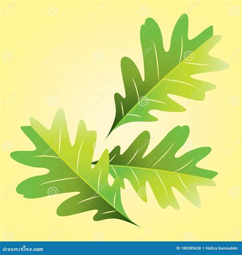 Oak Leaf Vector Illustration Decorative Design Stock Vector