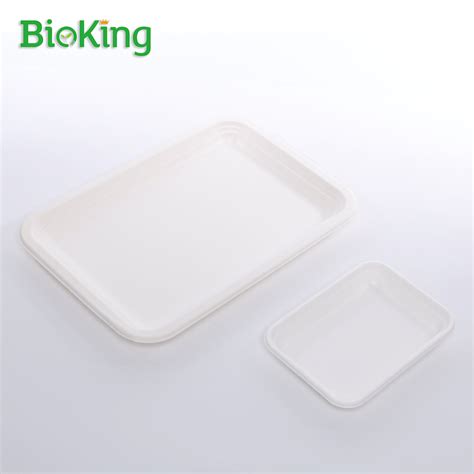 Mini Rectangle Tray Tray Bioking Sugarcane Bagasse Pulp Tableware