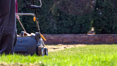 What Is A Lawn Scarifier & Why & How To Use One :: YardYum - Garden ...