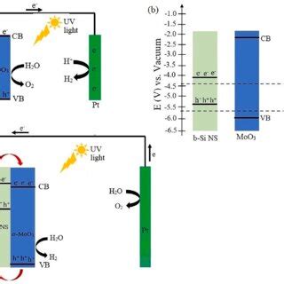 A Schematic Of The Pec Water Splitting Mechanism For The Moo C Si