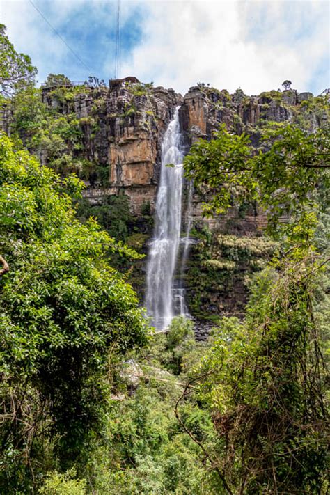 The Forest Graskop Gorge Lift Company Panorama Route