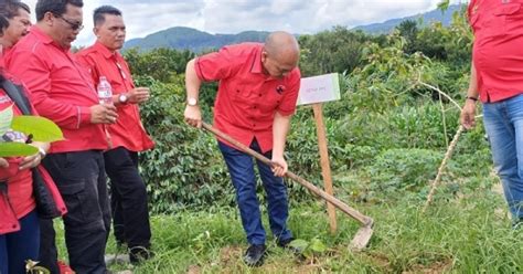 Hut Pdi Perjuangan Ke Dpc Pdi Perjuangan Taput Tanam Bibit Pohon