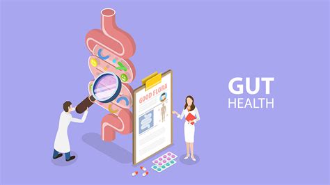 Why Gut Health Is Important