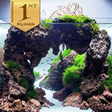 Jual Batu Lava Rock Xxl Hiasan Aquascape Aquarium Tanaman Air Ikan Hias