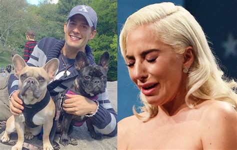 Paseador De Perros De Lady Gaga Narra El Secuestro De Las Mascotas De La Cantante Y El Momento