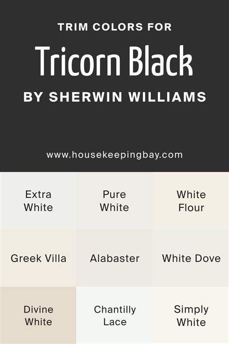 Best Trim Colors For Tricorn Black Sw 6258 By Sherwin Williams Black