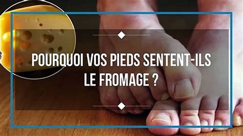 Pourquoi nos pieds sentent le fromage Vidéo Dailymotion