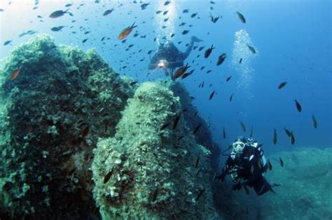 Plongée dans la zone marine protégée de Tavolara Sardaigne Escursì