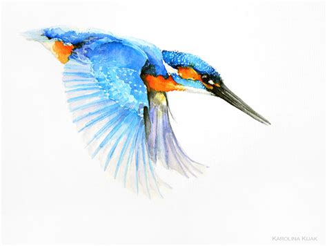 kingfisher watercolor by Kakiaart on DeviantArt