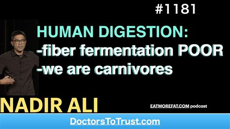 Nadir Ali 3‘ Human Digestion Fiber Fermentation Poor We Are Carnivores Youtube