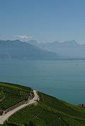 Category:Panoramics of the Lavaux Vineyard Terraces - Wikimedia Commons