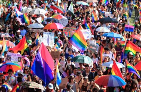 Participación De La Comunidad Lgbtttiq En Elecciones México 2024