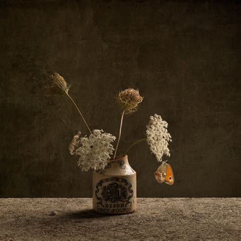 Wabi Sabi On Behance Flores Pared