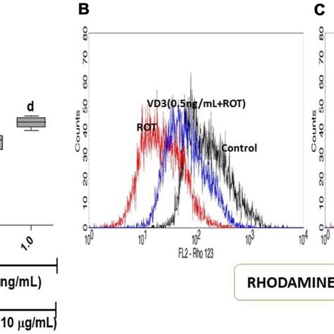 Mitochondrial Transmembrane Potential Measurements Fl In Pc Cells