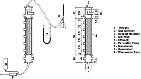 Scheme Of The Upflow Anaerobic Fixed Bed Reactor With Dimensions In Cm