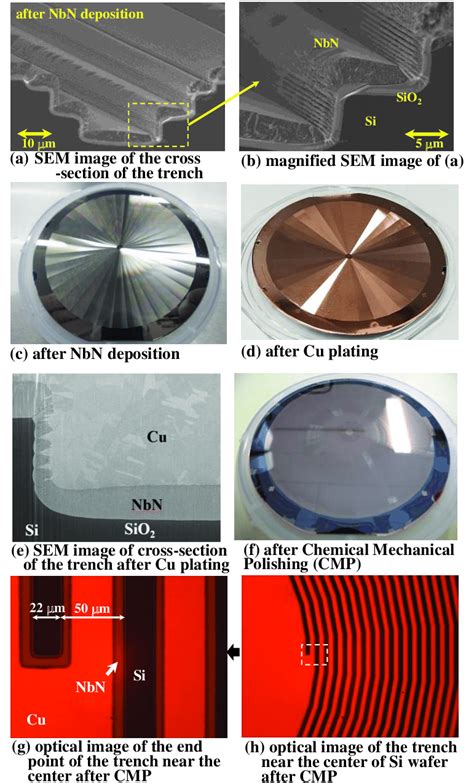 Photographs showing processes after the trench formation.... | Download Scientific Diagram