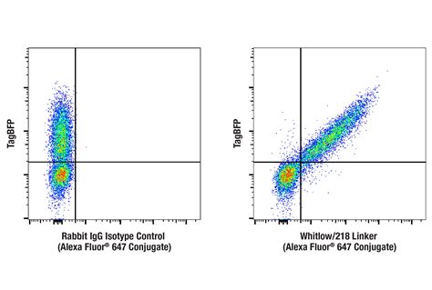 Whitlow 218 Linker E3u7q Rabbit Mab Alexa Fluor® 647 Conjugate Cell Signaling Technology